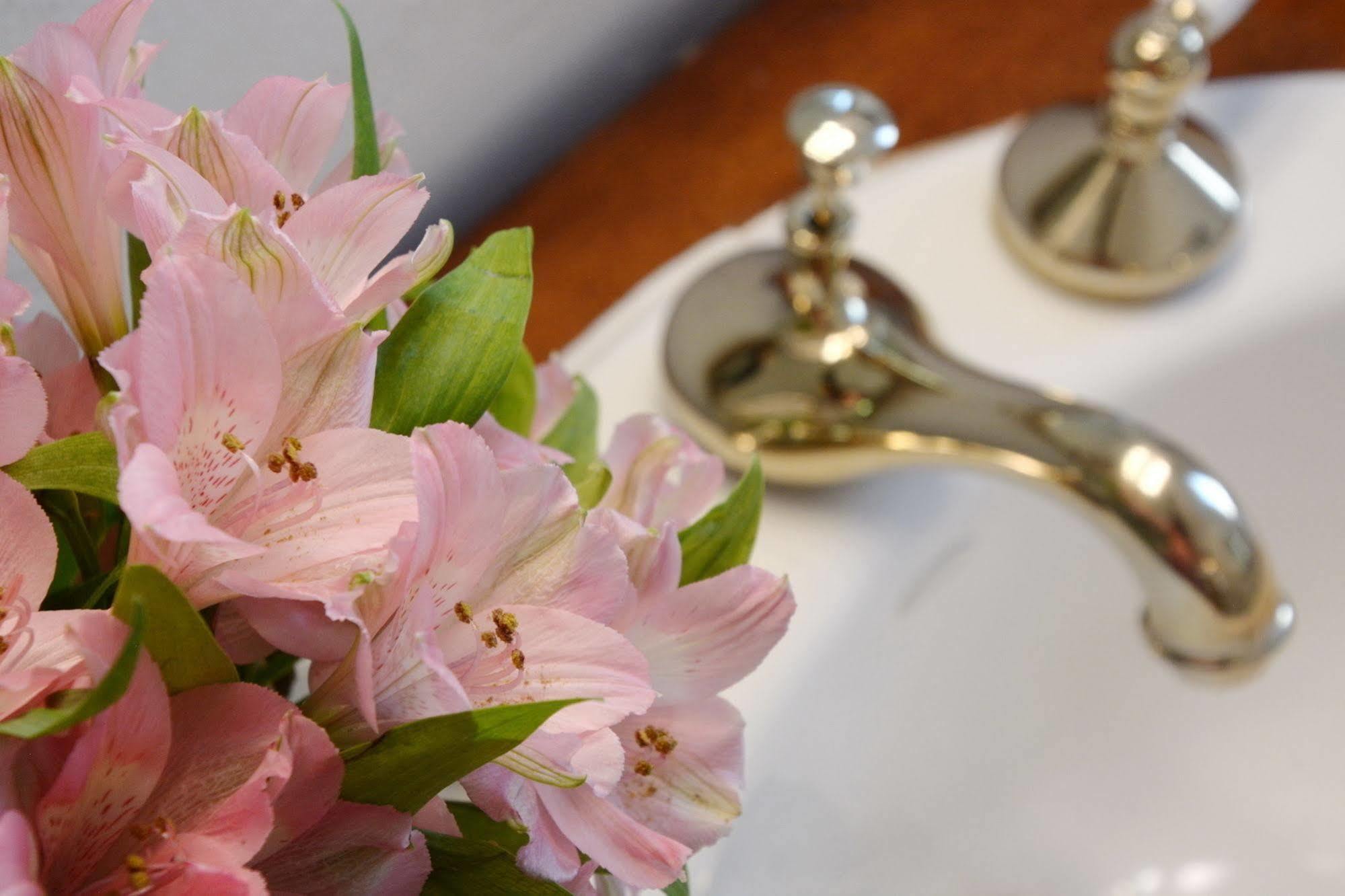 Capitol Hill Mansion B&B Inn 덴버 외부 사진